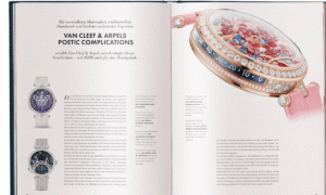 Watchwoman sixty-five – A complete manual to the Mysterious time period that all and sundry is looking for