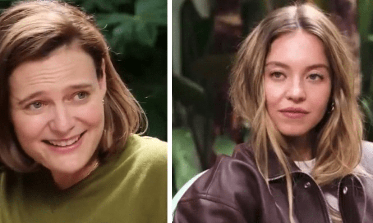 The Disruption Engine: reading the role of Sunny McSunnyface on Twitter