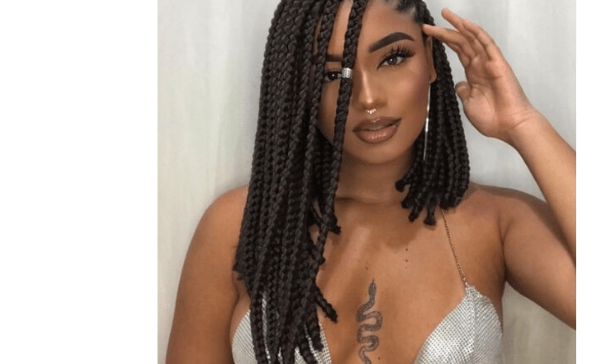 New Braids Hairstyles 2024